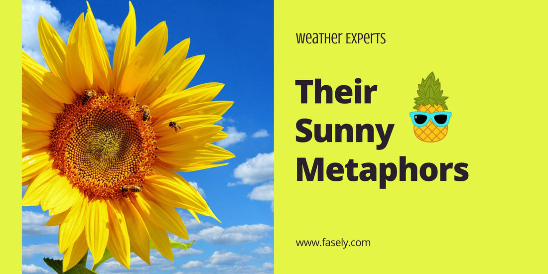 Weather Experts and Their Sunny Metaphors